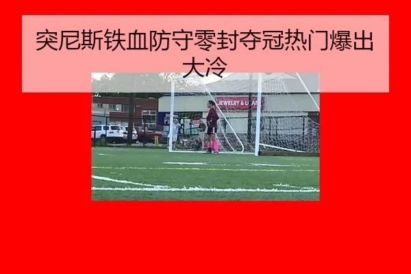tu-ni-si-tie-xue-fang-shou-ling-feng-duo-guan-re-men-bao-chu-da-leng-2-514.jpg